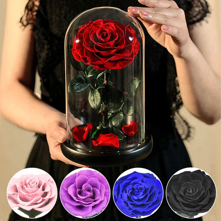 Eternal Rose Beauty and The Beast Preserved Rose Flower In Glass Dome LED  Light Forever Gift for Valentine Mother Day Christmas
