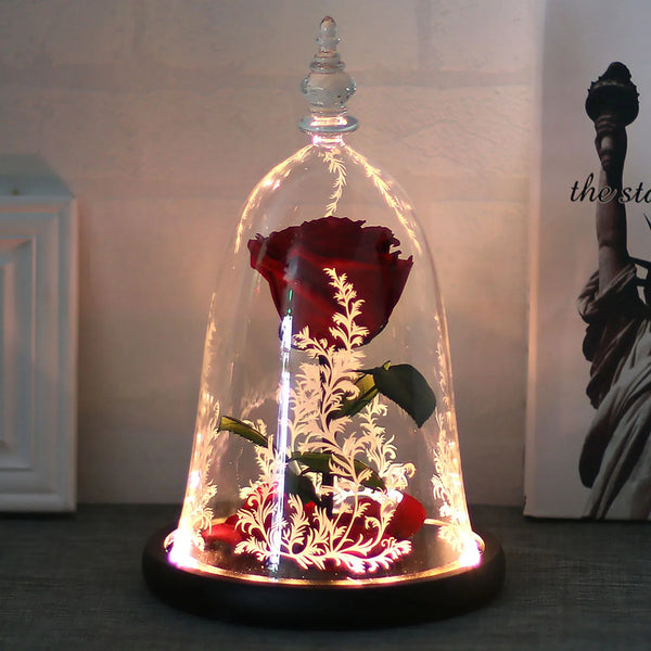 Valentine Gift Beauty And The Beast Rose Eternal Flower With LED Light Home Decoration Wedding Valentine Gift For Mom Girlfriend